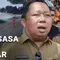 Paus Raksasa Mati Terdampar