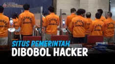 dibobol hacker