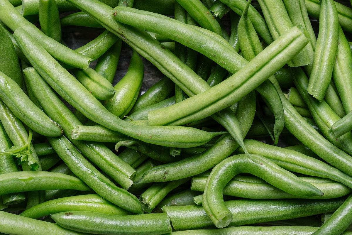 Kacang Panjang Mudah Beradaptasi (Image by Freepik)