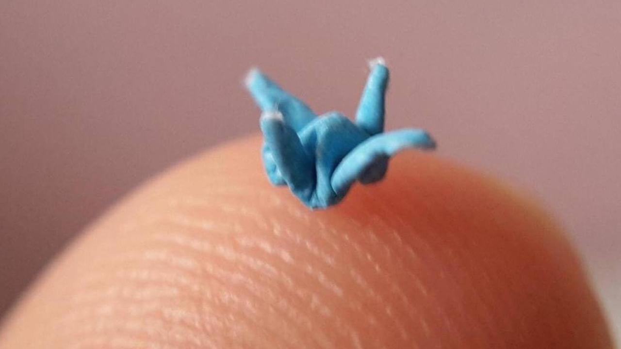 Wanita Ini Buat Origami Ukuran Super Kecil hingga Raih Rekor MURI, Penampakannya Curi Perhatian