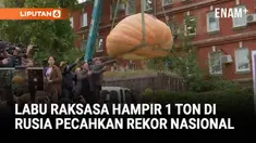 Seorang petani Rusia berhasil menumbuhkan labu raksasa dengan berat hampir 1 ton. Labu seberat 969 kilogram itu memecahkan rekor nasional sebagai labu terberat di Rusia.