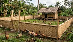 Kandang Ayam Umbaran dengan Pagar Bambu (Foto: Gemini AI)