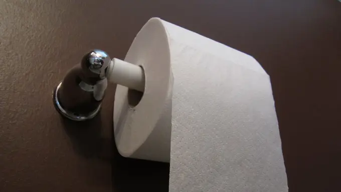 OMG, Ternyata Kelar Pipis Kamu Gak Boleh Seka Vagina dengan Tisu!