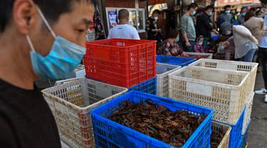China Kembali Buka Pasar Basah Wuhan