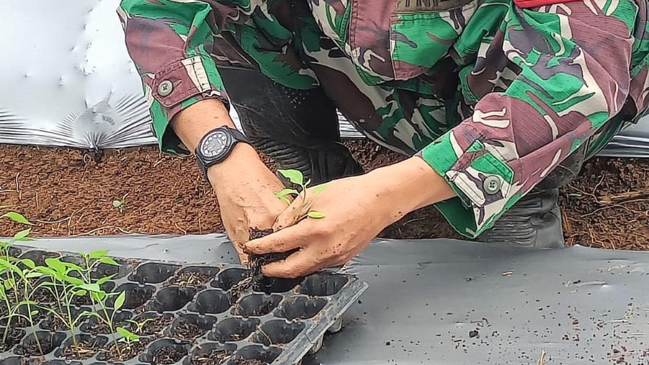 TNI Tanam Ribuan Bibit Tanaman di Gunung Hejo Purwakarta