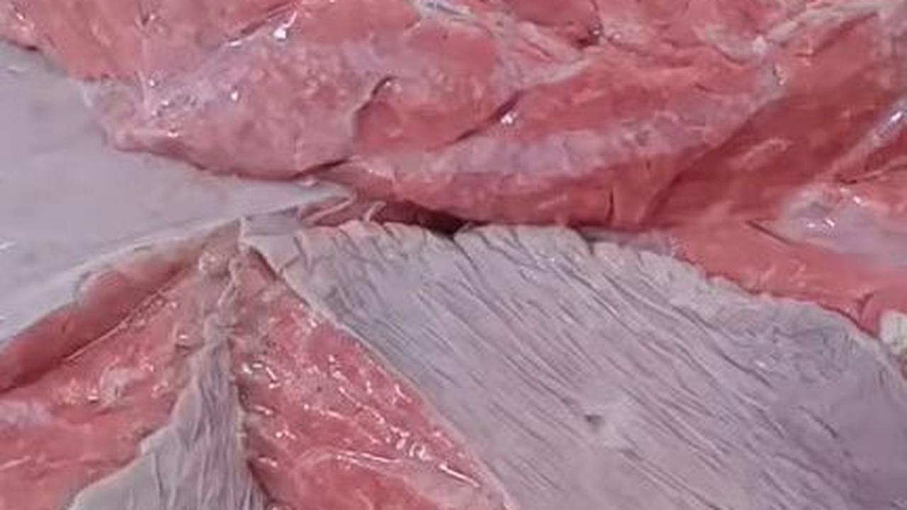 Potong Paru Ukuran Besar