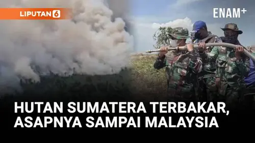 VIDEO: Asap Kebakaran Hutan Sumatera Sampai Malaysia, Titik Api Terus Meluas di Riau