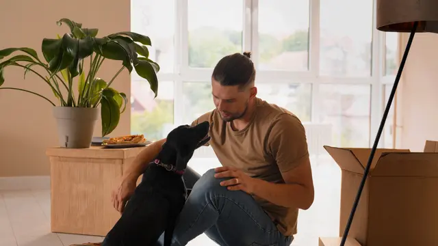 Dog and Owner