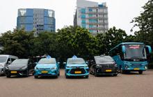 Pendapatan Kuartal I Bluebird Group Tumbuh 11,6%