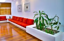 Ruang Tamu Lebih Asri dan Hidup dengan 7 Tanaman Indoor Estetik ala Pinterest