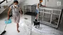Relawan membersihkan kandang penampungan anjing di Posko Bali Rumah Singgah Satwa, Padangbai, Bali, Senin (4/12). Para relawan berharap agar masyarakat mau mengadopsi anjing-anjing tersebut. (Liputan6.com/Immanuel Antonius)