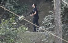 Aksi polisi Georgia buru harimau yang lepas dari kandang saat banjir