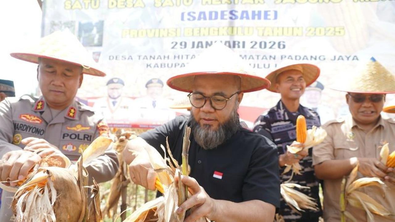SADESAHE Bengkulu: Memperkuat Fondasi Ketahanan Pangan Daerah Melalui Desa