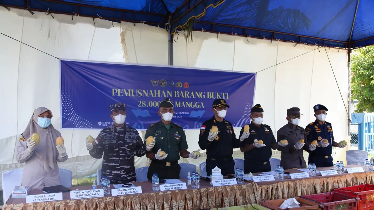 Bea Cukai dan Detasemen Polisi Militer (Denpom) 1/3 Pekanbaru menggagalkan upaya penyelundupan 1.400 keranjang mangga ilegal asal Thailand