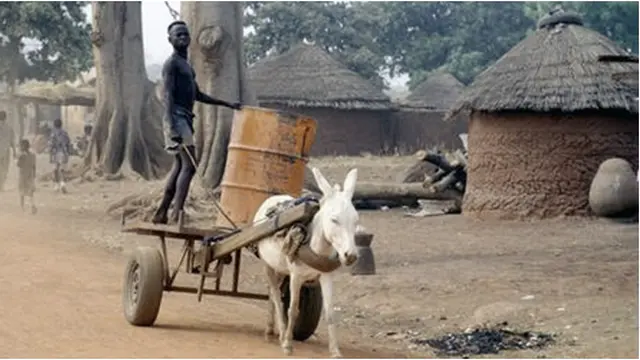 Courtesy Africaimports