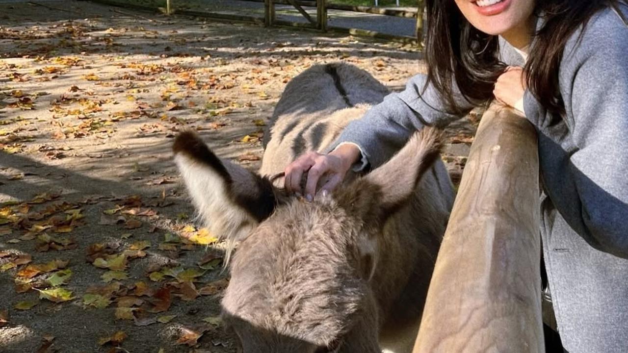 Rahasia Awet Muda Sophia Latjuba yang Tetap Cantik di Usia 54 Tahun Tanpa Operasi