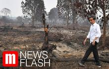 VIDEO: Jokowi Ungkap Kebakaran Hutan di Riau Ada Unsur Kesengajaan