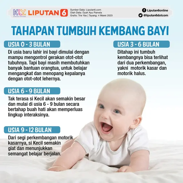 Infografis Tahapan Tumbuh Kembang Bayi. (Dok: Liputan6.com/Trisyani)