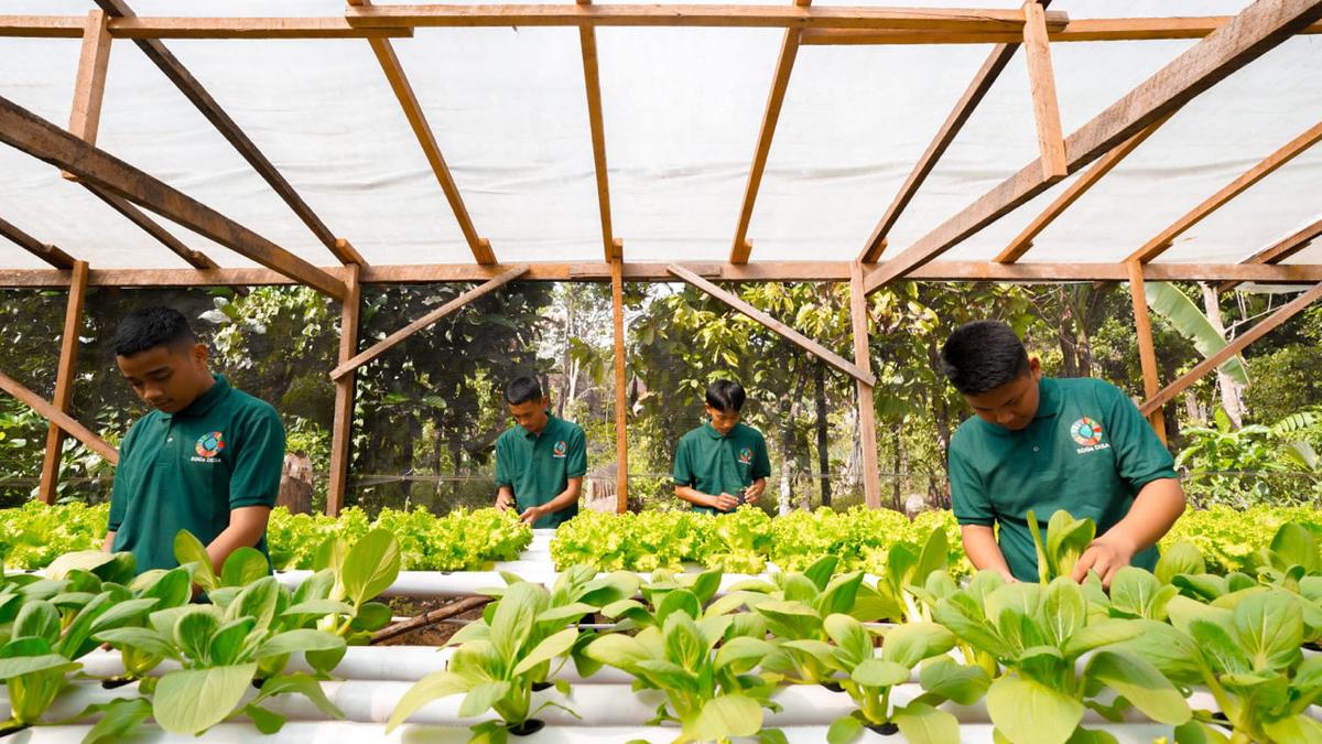 Dorong Penyerapan Tenaga Kerja di Sulawesi, MIND ID Perkuat Pembinaan UMK
