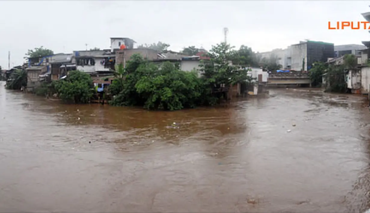 Wilayah 'delta' menjadi titik temu aliran air Ciliwung. (Liputan6.com/Abdul Azis Prastowo)
