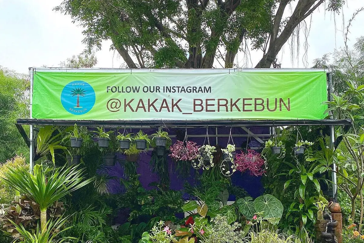 Kakak Berkebun, jasa mempercantik taman dan isi rumah dengan tanaman outdoor maupun indoor