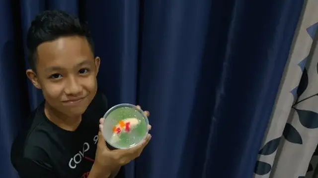 Kreativitas Seorang Ibu Membuat Jelly Ikan Koi Realistis.