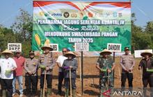 Tahukah Anda? Kodim dan Pemkab Gelar Gerakan Tanam Jagung Serentak Sumenep, Bidik Peningkatan Produksi Pangan