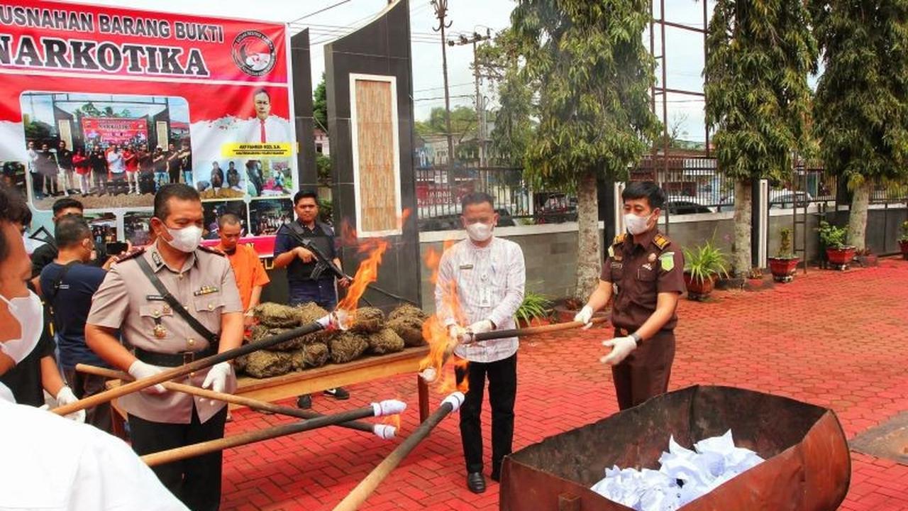 Terungkap, 15 Kg Ganja Pasaman Dimusnahkan: Dari Mandailing Natal Menuju Padang, 2 Pelaku Dibekuk!