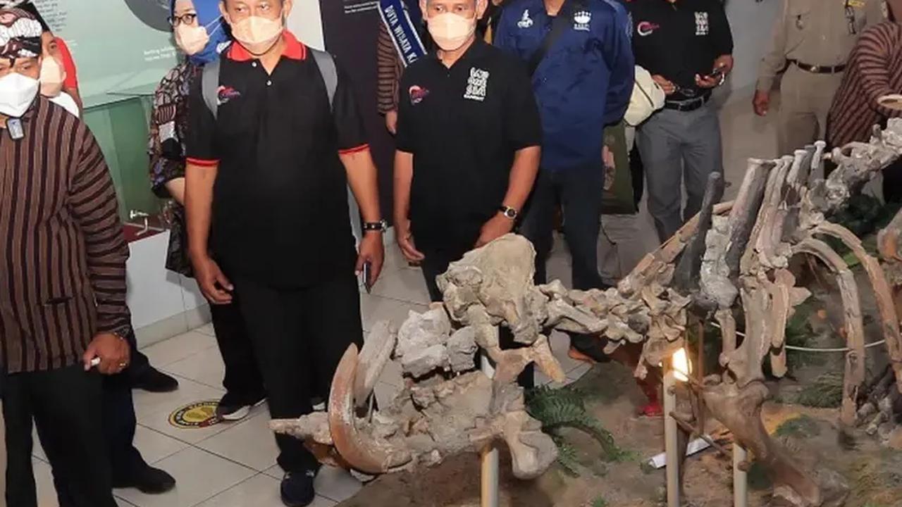 5. Sangiran juga Menyimpan Fosil Hewan dan Tumbuhan purba