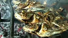 liputan6