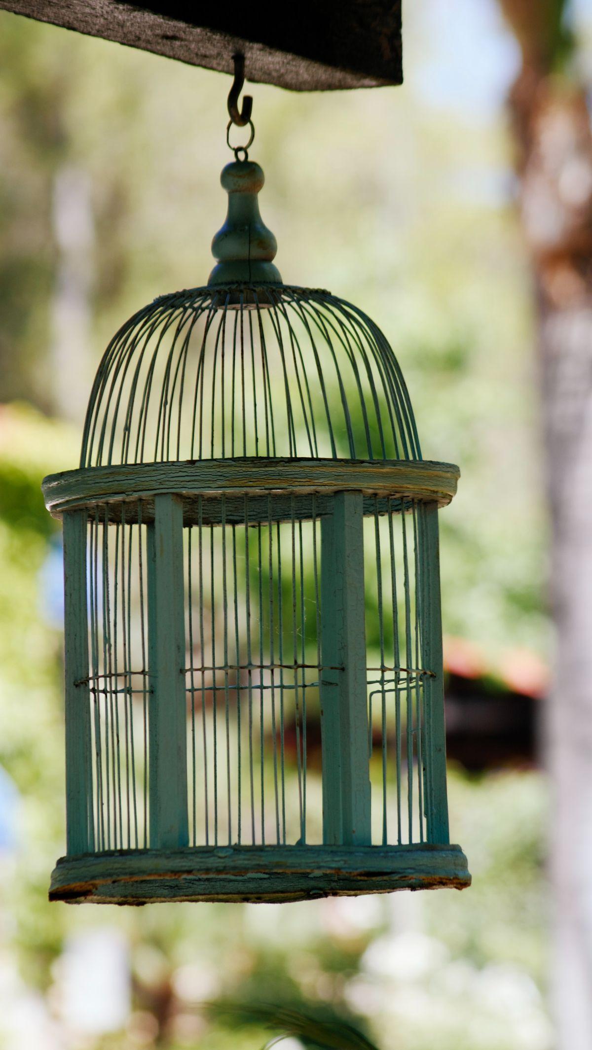 Beragam mitos hingga kini masih tumbuh dan berkembang di beberapa daerah di Indonesia. Salah satu mitos yang hingga kini masih dipercaya yakni mitos tentang burung kedasih. Burung kedasih atau burung cirit uncuing dilingkupi mitos yang menyeramkan. Burun