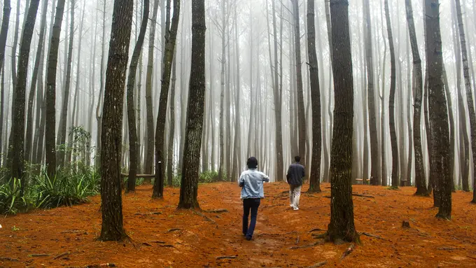 Overland Trans Jawa jadi Opsi Wisata Hemat bagi Traveler