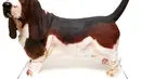 short desc