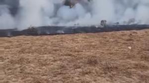 Suryakencana Gunung Gede Kebakaran, Dedi Mulyadi: Jangan ke Hutan Bawa Rokok