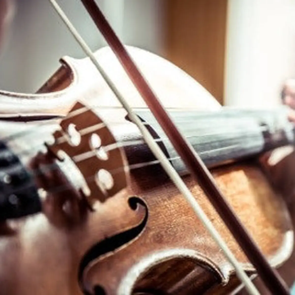 Alat Musik Biola Dimainkan dengan Cara Apa? Lengkap dengan Sejarahnya - Hot  Liputan6.com