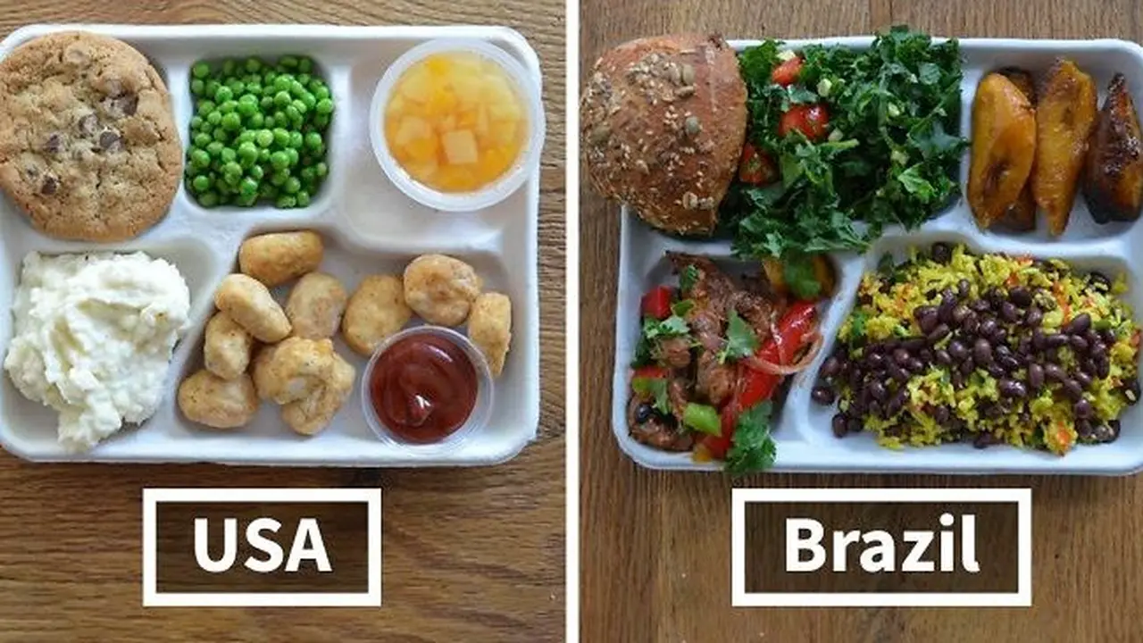 bekal sekolah di seluruh dunia (foto: boredpanda)