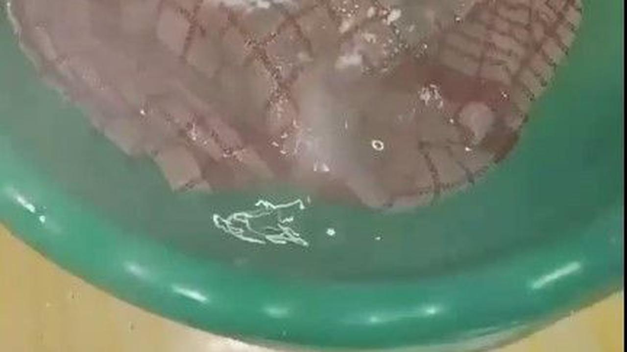 Pakai Soda Kue