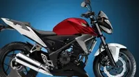 Tantang Kawasaki Z250, Honda Kenalkan CBR250F!