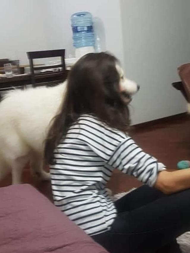 6 Momen Kocak Tak Sengaja Terfoto Kamera Ini Bikin Terkecoh