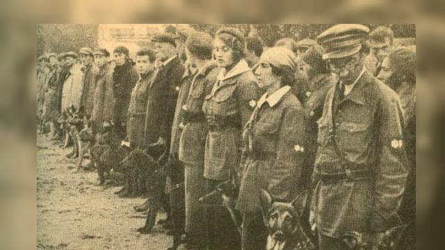 Uni Soviet menerjunkan anjing ke medan tempur Perang Dunia II