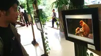 Puluhan fotografer adu keahlian dalam lomba foto satwa terbaik di Taman Safari Indonesia.