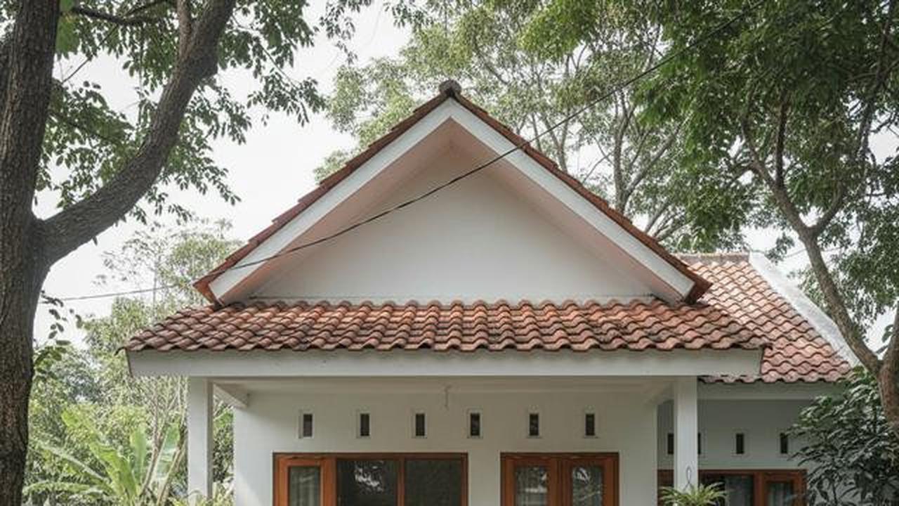 8 Model Rumah Kecil Tapi Luas dengan Tanaman Daun Lebar di Teras Depan, Asri