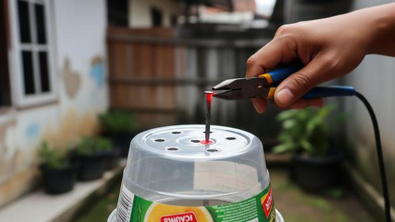 Cara Membuat Pot Tanaman dari Thinwall Bekas, Simpel dan Jadi Peluang Usaha