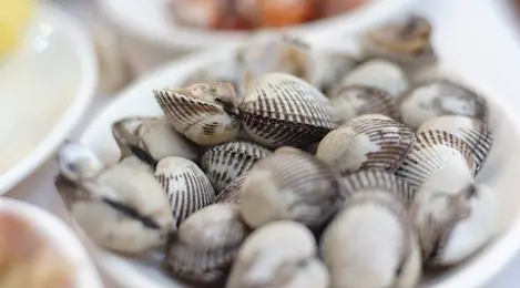 Cara Merebus Kerang Agar Cepat Terbuka Tanpa Mengurangi Nutrisinya Lifestyle Fimela Com