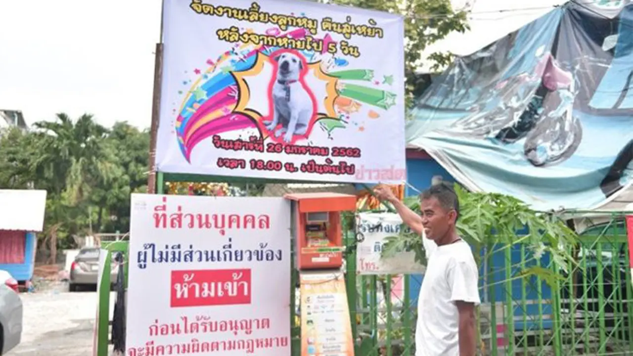 Sempat Hilang, Pria Ini Gelar Pesta Meriah untuk Kepulangan Anjingnya
