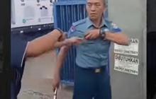 VIDEO: Pria Berseragam TNI AL Diduga Ngamuk Bogem Sopir Pikap, Kesal Mobilnya Disalip
