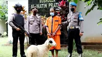 Petani di Kebumen nekat mencuri kambing lantaran keranjingan judi togel. (Foto: Liputan6.com/Polres Kebumen)