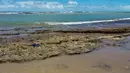 Gambar yang dirilis pada 7 Oktober 2019 memperlihatkan minyak tumpah di pantai Pontal de Coruripe di Coruripe, negara bagian Alagoas, Brasil. Tumpahan minyak yang telah mengering sejak beberapa pekan terakhir telah mencemari 132 pantai di kawasan timur laut Brasil. (HO/IBAMA/AFP)