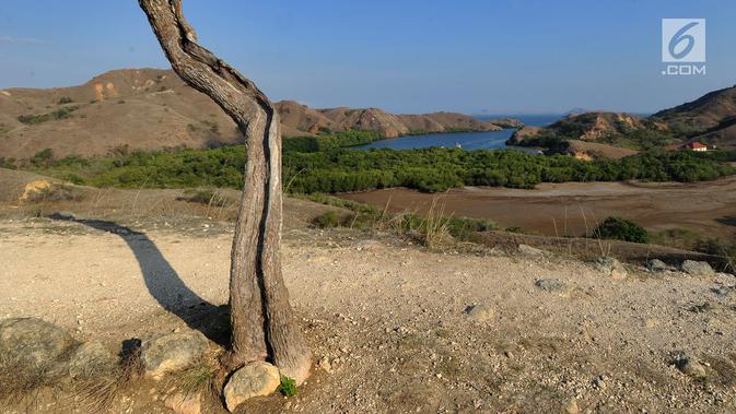 Pemandangan alam sebuah teluk di Pulau Rinca, Taman Nasional Komodo, NTT, Minggu (14/10). Titik tertinggi Pulau Rinca berada di Doro (Gunung) Ora, 670 m dpl. (Merdeka.com/Arie basuki)
