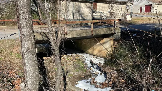 Sungai Susu di Amerika